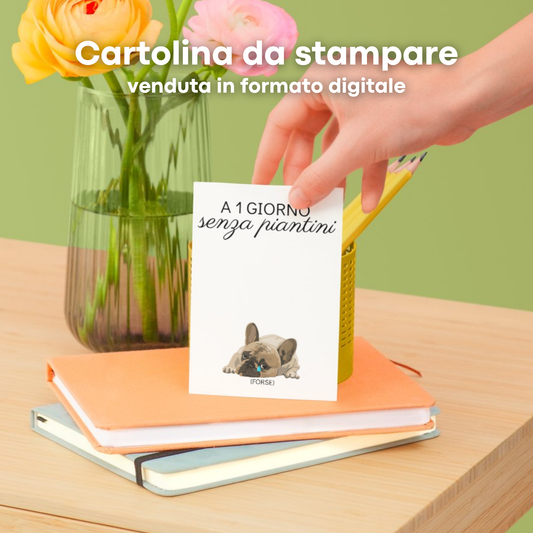 Set di Cartoline da Stampare Cane&Gatto&Piantini